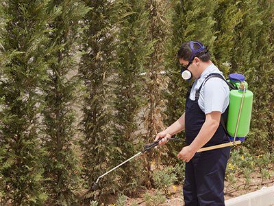Commercial Pest Control Services Anaheim, CA