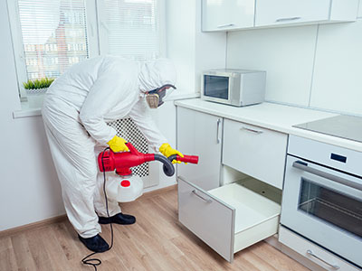 Termite Control Anaheim, CA